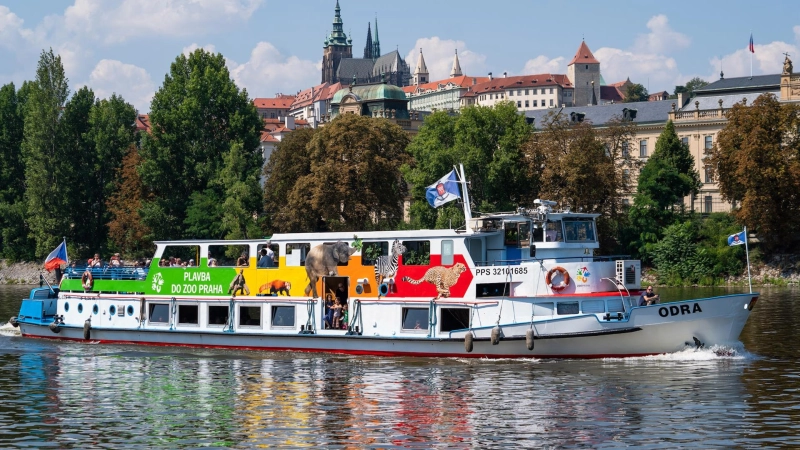 Boat Odra nr. 11