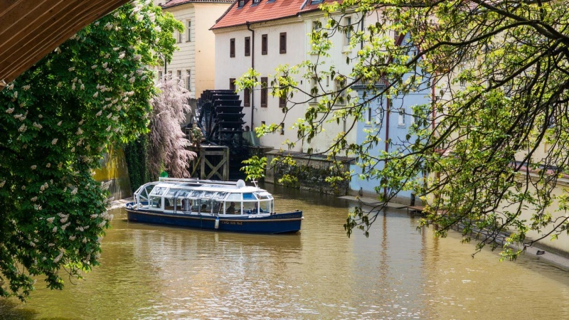 Boat Elektronemo nr. 17